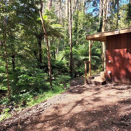 ماونت داندينونج The Fernglen Forest Retreat المظهر الخارجي الصورة