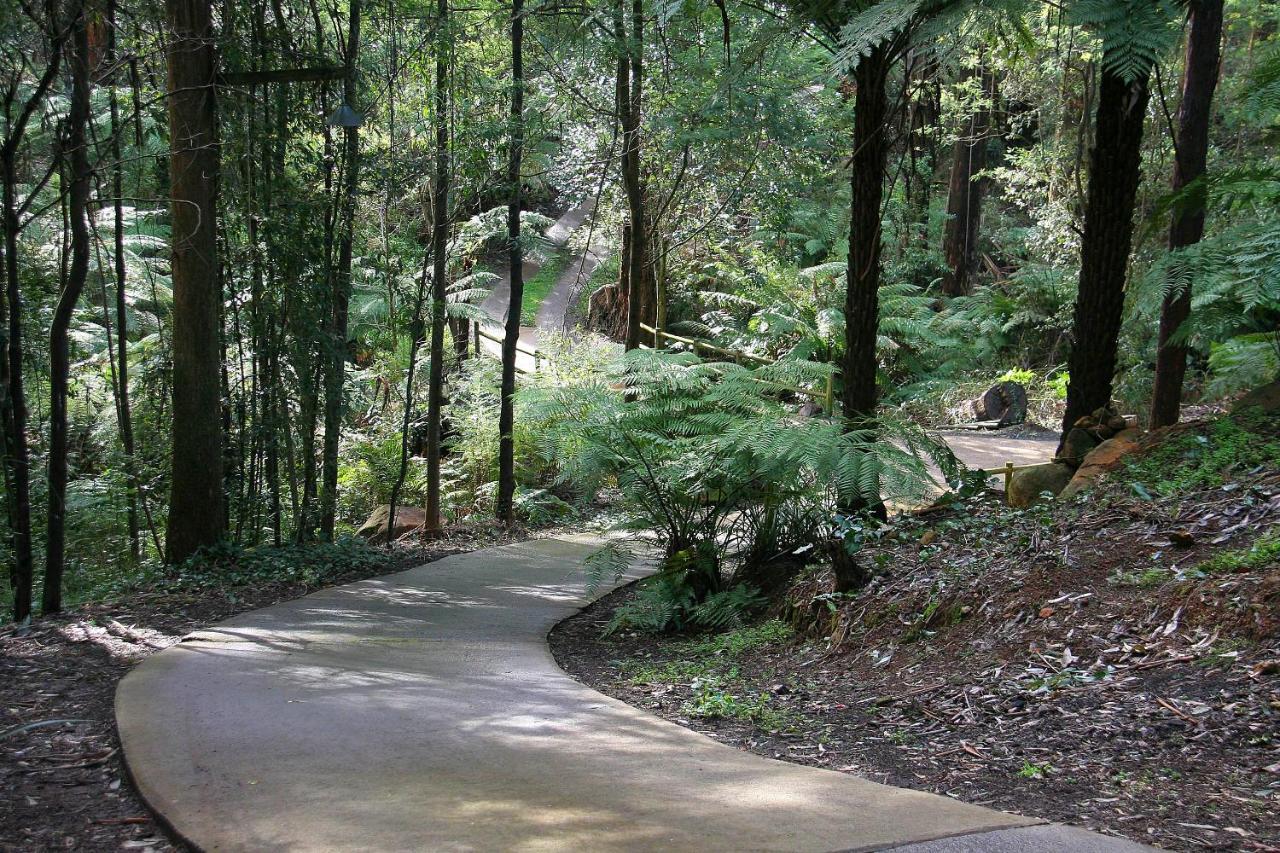 ماونت داندينونج The Fernglen Forest Retreat المظهر الخارجي الصورة