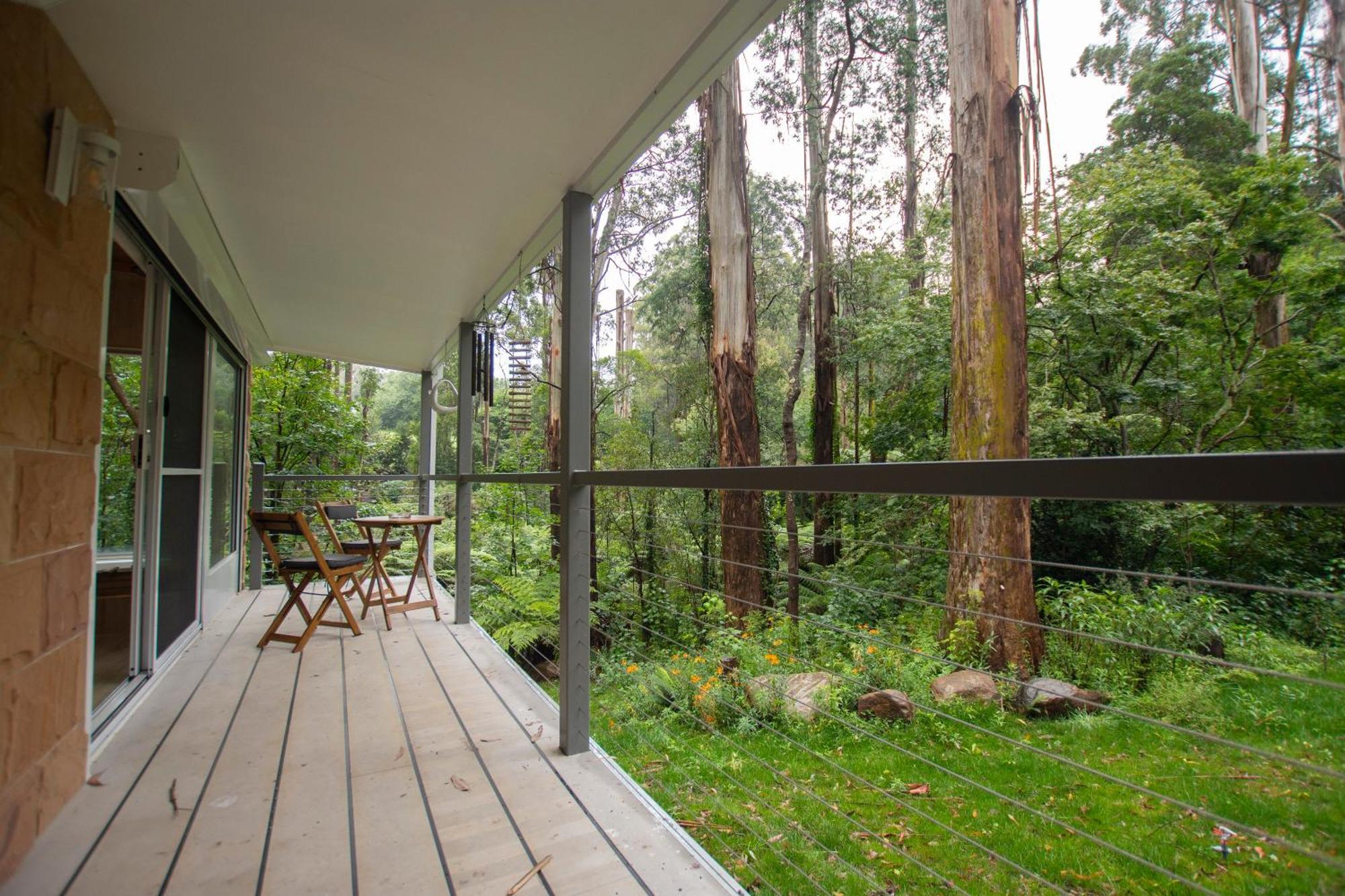 ماونت داندينونج The Fernglen Forest Retreat المظهر الخارجي الصورة