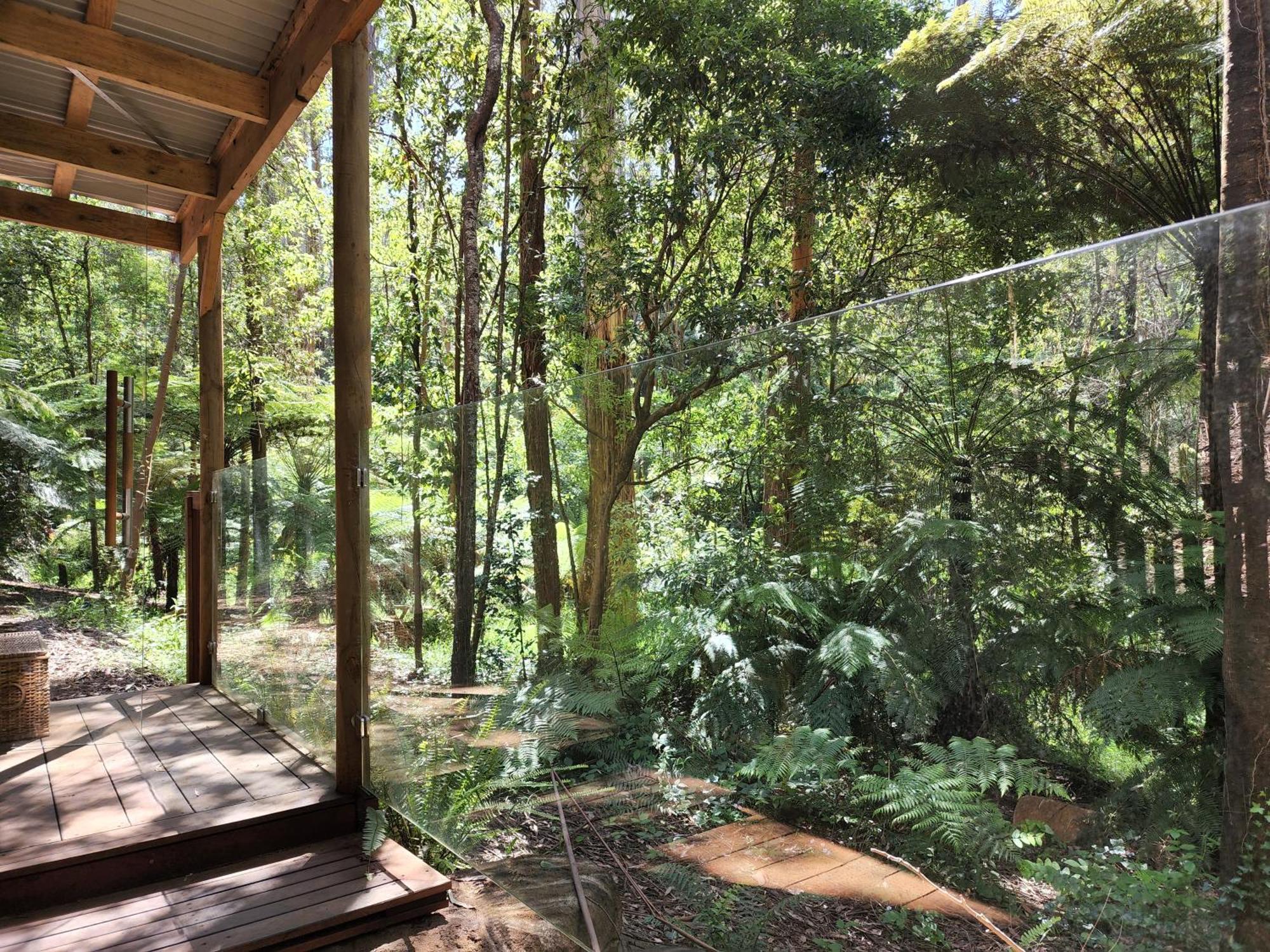 ماونت داندينونج The Fernglen Forest Retreat المظهر الخارجي الصورة