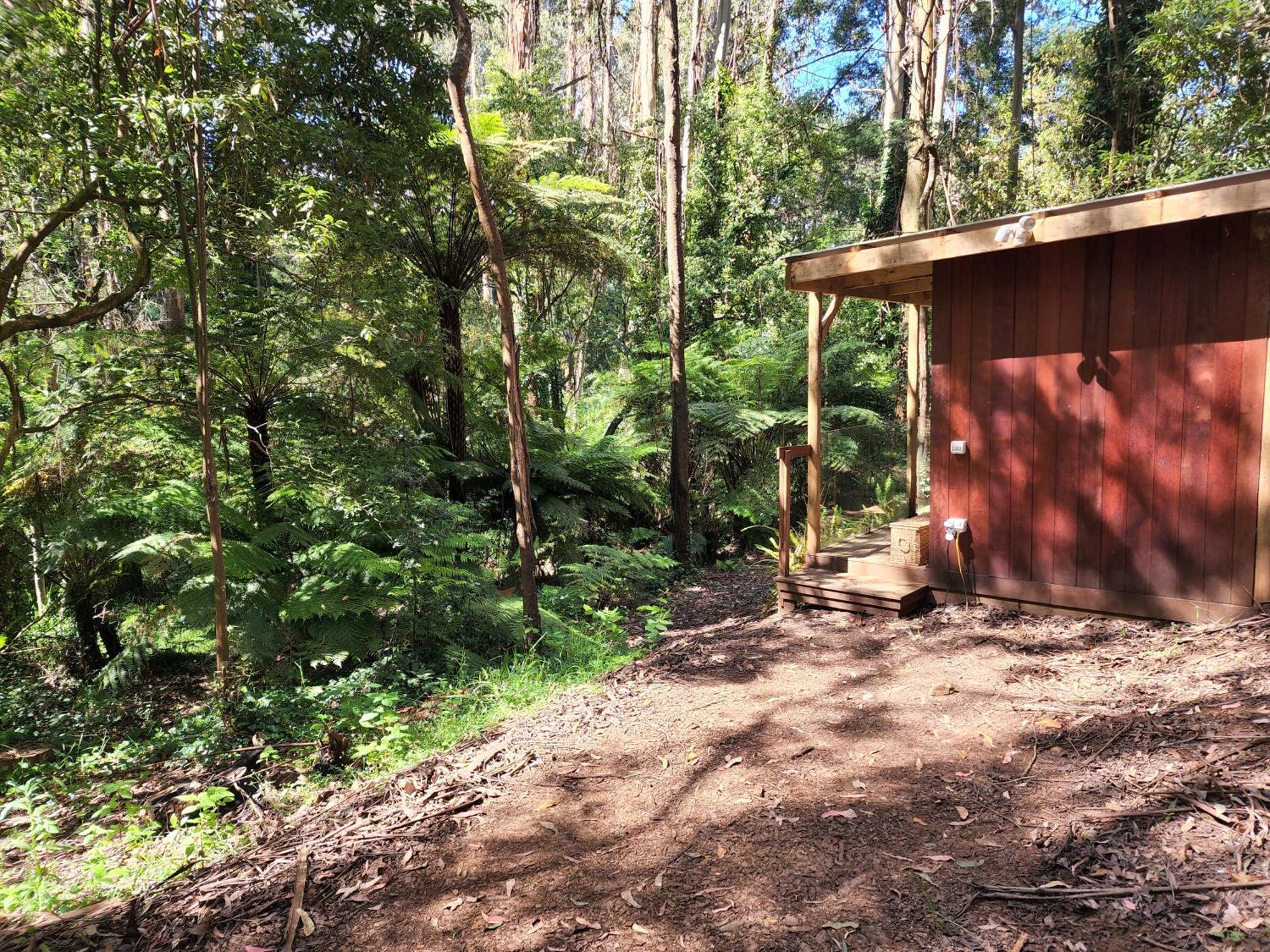 ماونت داندينونج The Fernglen Forest Retreat المظهر الخارجي الصورة