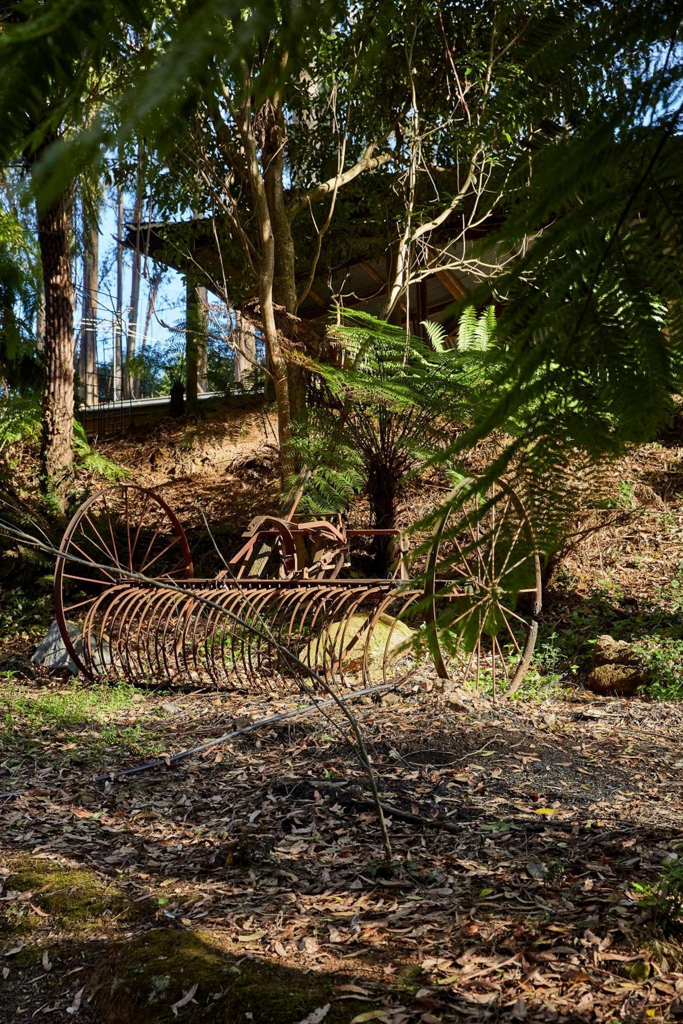 ماونت داندينونج The Fernglen Forest Retreat المظهر الخارجي الصورة