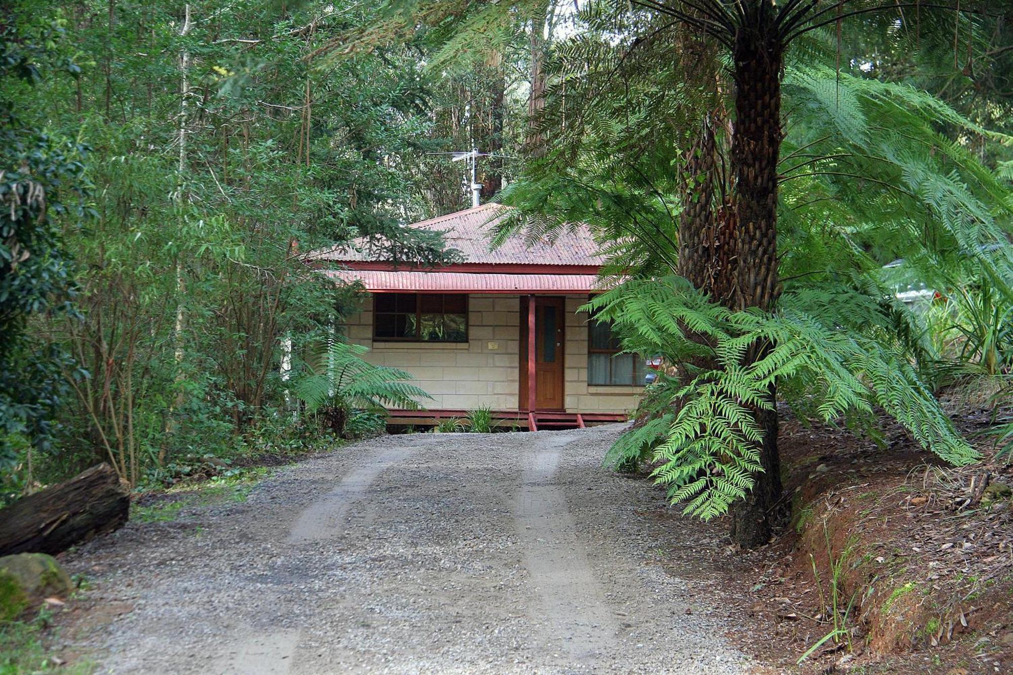 ماونت داندينونج The Fernglen Forest Retreat المظهر الخارجي الصورة