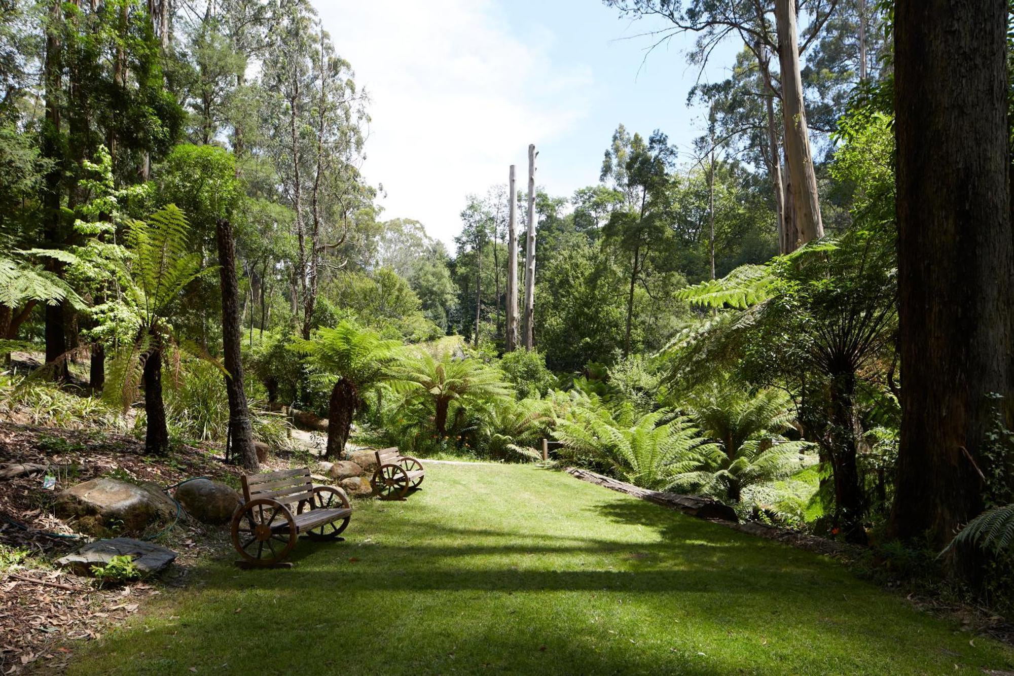 ماونت داندينونج The Fernglen Forest Retreat المظهر الخارجي الصورة
